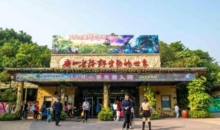 长隆国际大马戏攻略