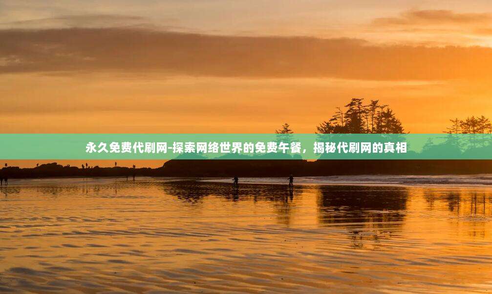 永久免费代刷网-探索网络世界的免费午餐，揭秘代刷网的真相