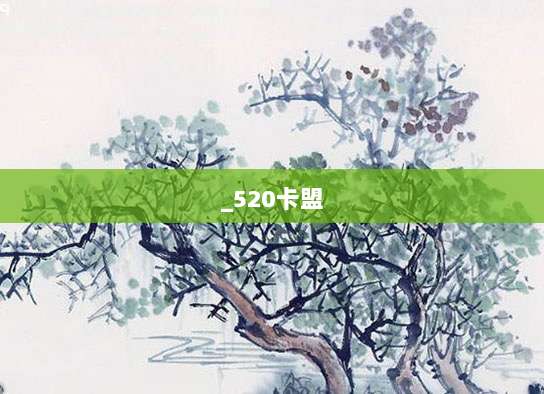 _520卡盟