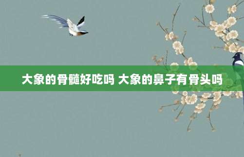 大象的骨髓好吃吗 大象的鼻子有骨头吗