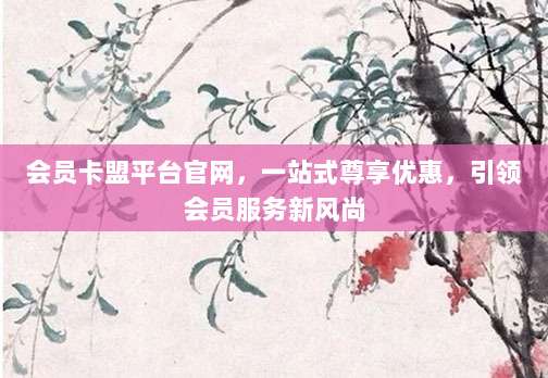 会员卡盟平台官网，一站式尊享优惠，引领会员服务新风尚