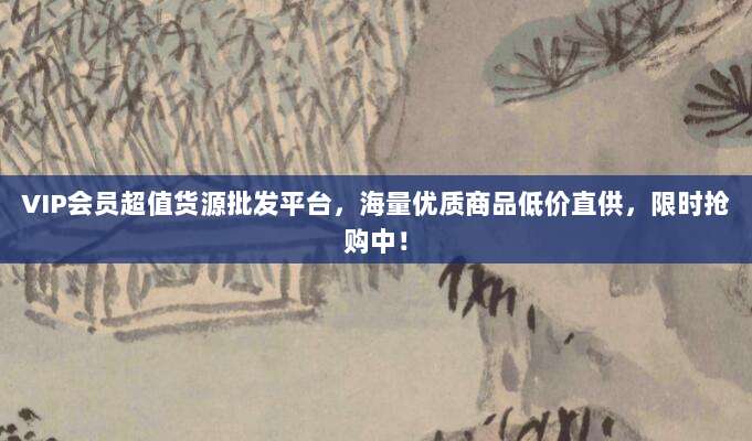 VIP会员超值货源批发平台，海量优质商品低价直供，限时抢购中！