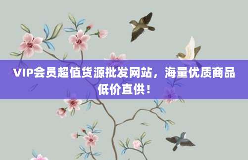 VIP会员超值货源批发网站，海量优质商品低价直供！