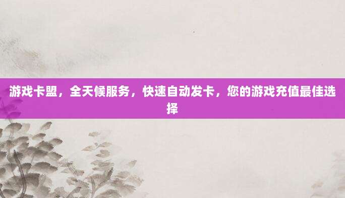 游戏卡盟，全天候服务，快速自动发卡，您的游戏充值最佳选择