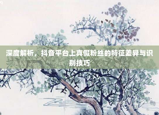 深度解析，抖音平台上真假粉丝的特征差异与识别技巧