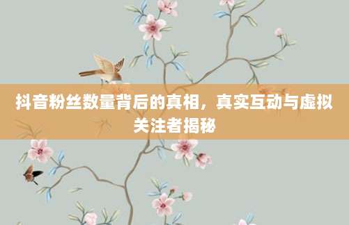 抖音粉丝数量背后的真相，真实互动与虚拟关注者揭秘