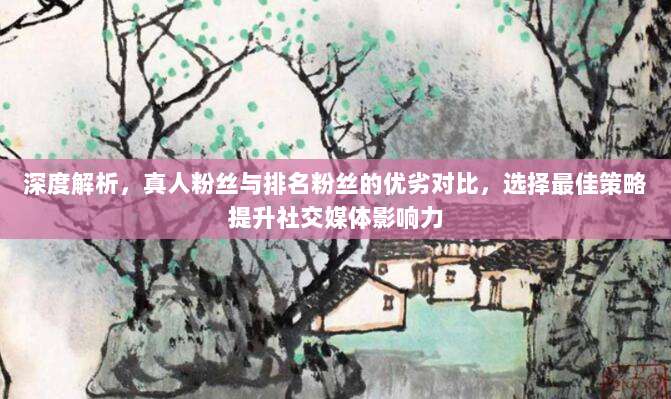 深度解析，真人粉丝与排名粉丝的优劣对比，选择最佳策略提升社交媒体影响力