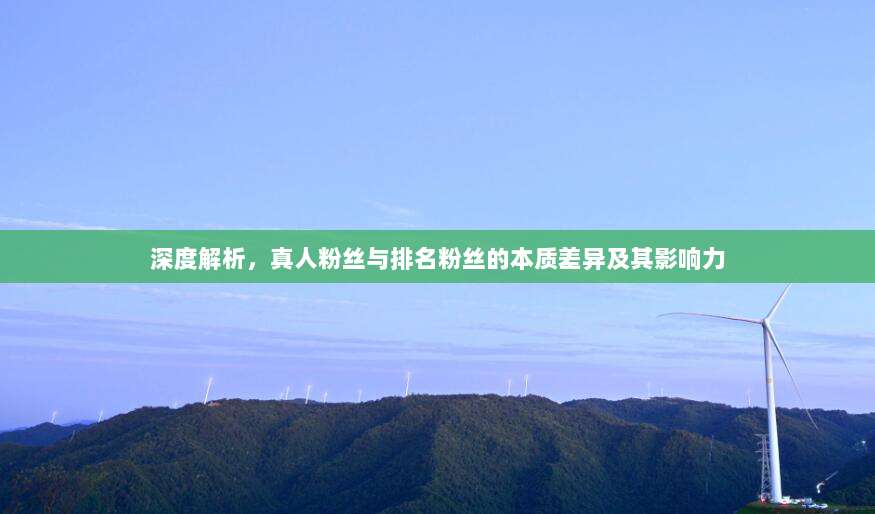 深度解析，真人粉丝与排名粉丝的本质差异及其影响力