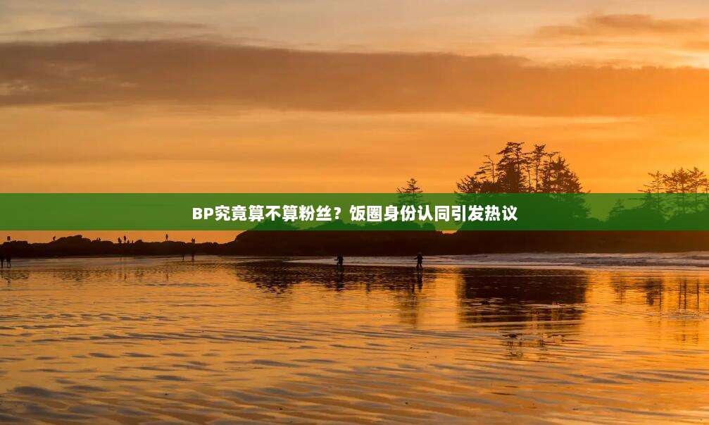 BP究竟算不算粉丝？饭圈身份认同引发热议