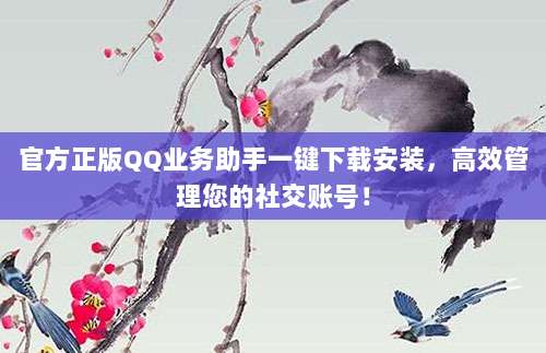 官方正版QQ业务助手一键下载安装，高效管理您的社交账号！