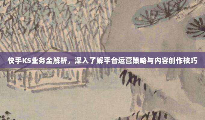 快手KS业务全解析，深入了解平台运营策略与内容创作技巧