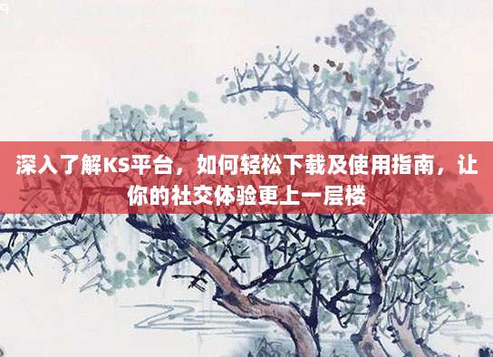 深入了解KS平台，如何轻松下载及使用指南，让你的社交体验更上一层楼