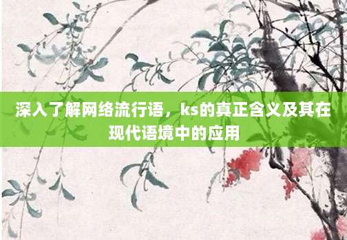 深入了解网络流行语，ks的真正含义及其在现代语境中的应用