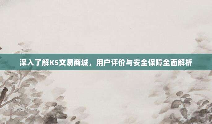 深入了解KS交易商城，用户评价与安全保障全面解析