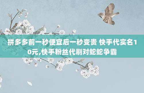 拼多多前一秒便宜后一秒变贵 快手代实名10元,快手粉丝代刷对蛇蛇争霸