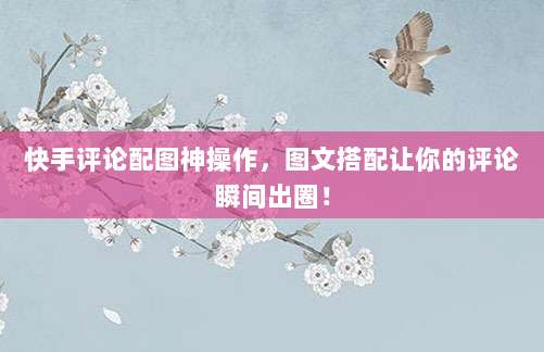 快手评论配图神操作，图文搭配让你的评论瞬间出圈！