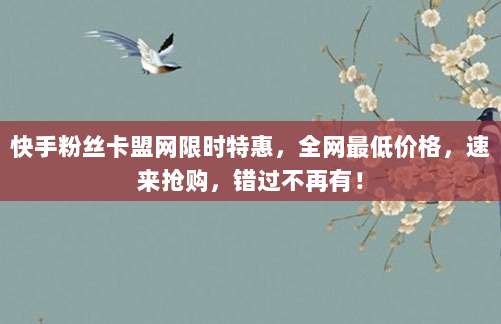 快手粉丝卡盟网限时特惠，全网最低价格，速来抢购，错过不再有！