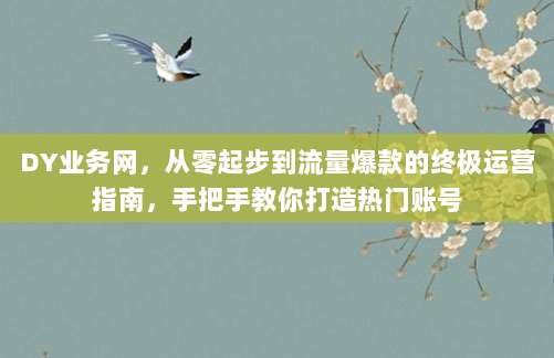 DY业务网，从零起步到流量爆款的终极运营指南，手把手教你打造热门账号
