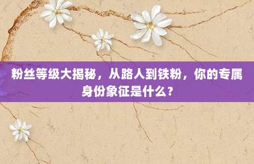 粉丝等级大揭秘，从路人到铁粉，你的专属身份象征是什么？