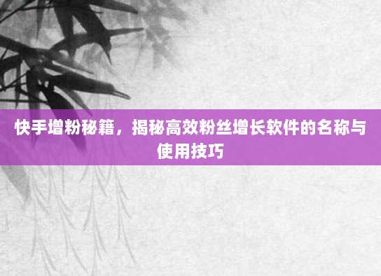 快手增粉秘籍，揭秘高效粉丝增长软件的名称与使用技巧